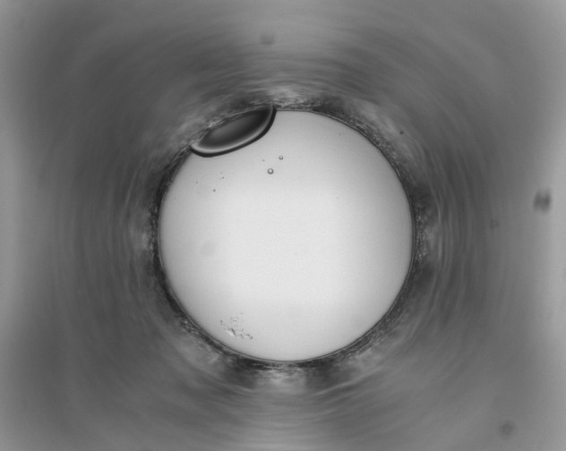 X0000096140317200802011216