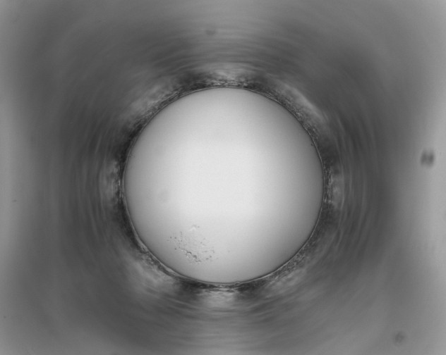 X0000096140318200802011216