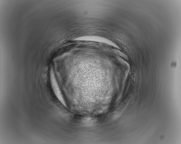 X0000096140319200802011216