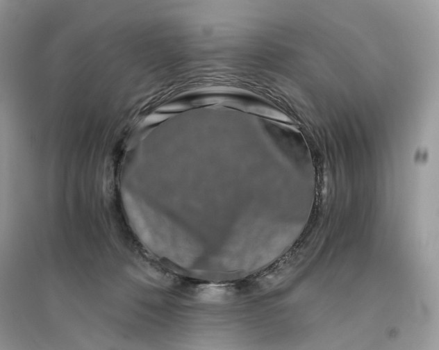 X0000096140320200802011216
