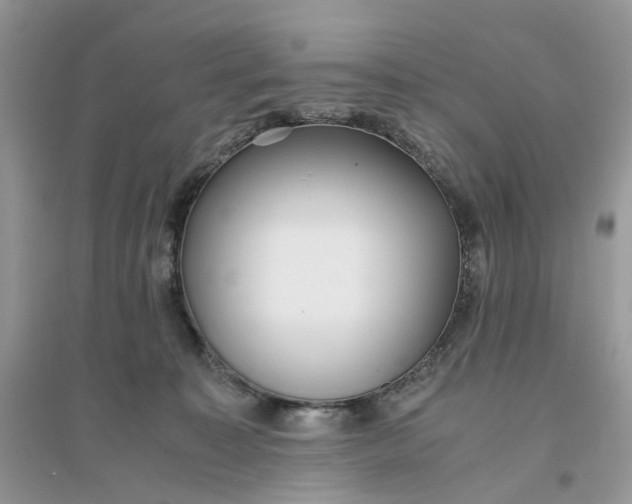 X0000096140323200802011216