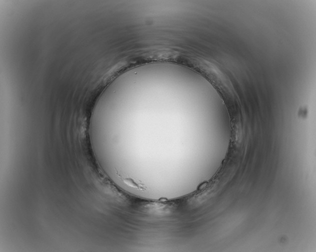 X0000096140326200802011216