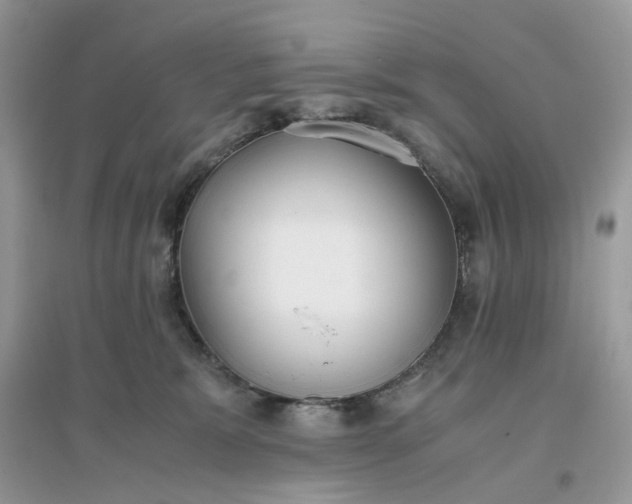 X0000096140327200802011216