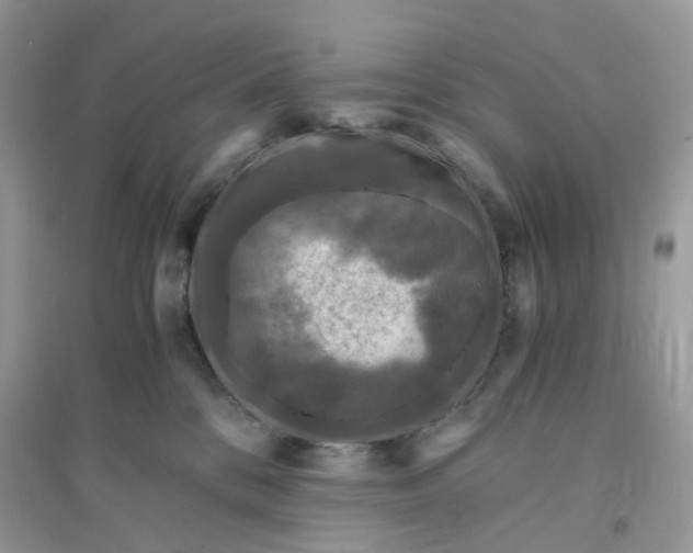 X0000096140328200802011216