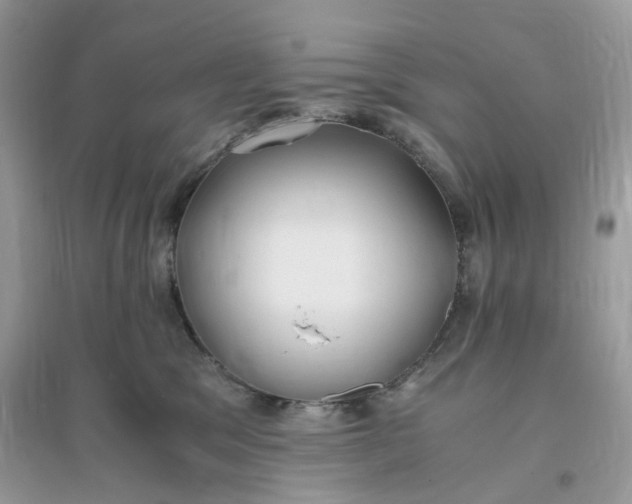 X0000096140329200802011216