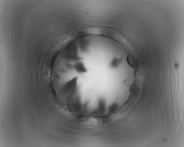 X0000096140330200802011216