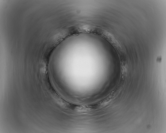 X0000096140331200802011216