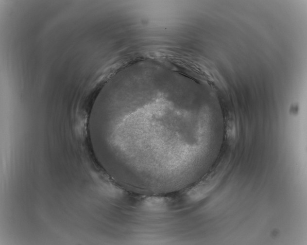X0000096140332200802011216