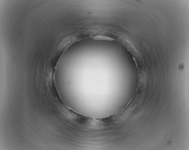 X0000096140333200802011216