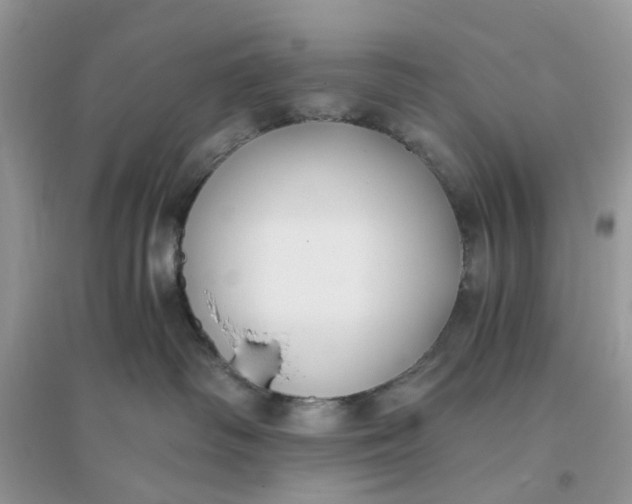 X0000096140334200802011216