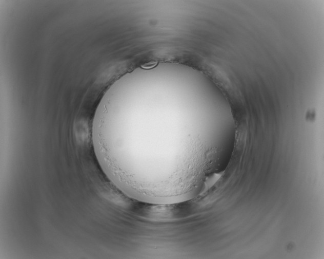 X0000096140335200802011216