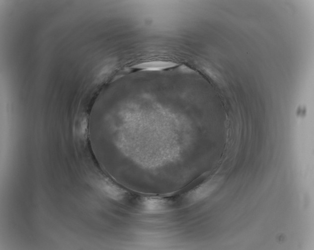 X0000096140336200802011216