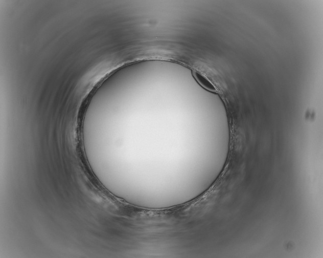 X0000096140338200802011215