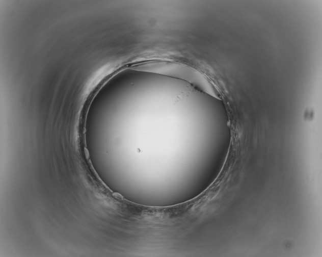 X0000096140340200802011215
