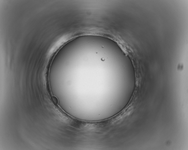 X0000096140341200802011215