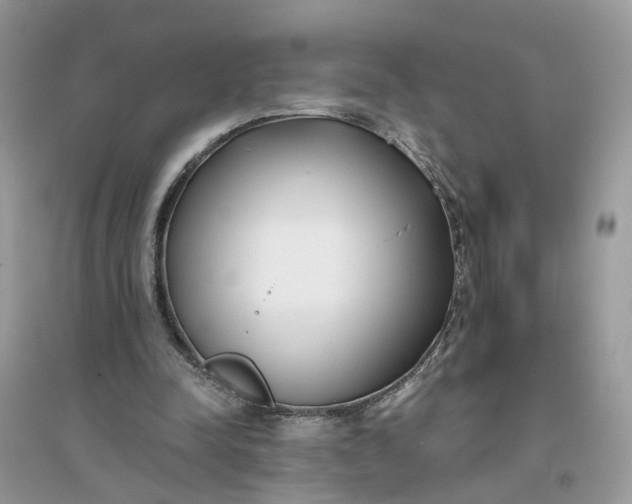 X0000096140342200802011215