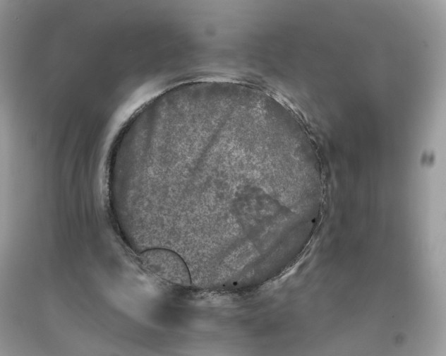 X0000096140343200802011215