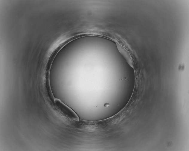 X0000096140344200802011215