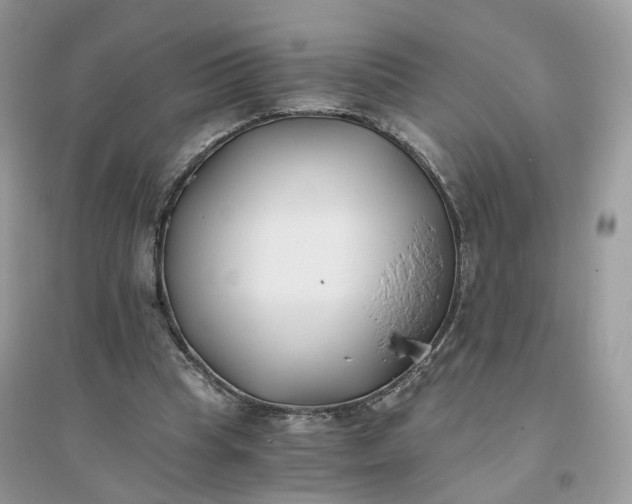 X0000096140345200802011215