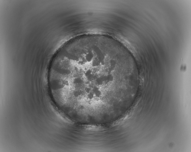 X0000096140347200802011215