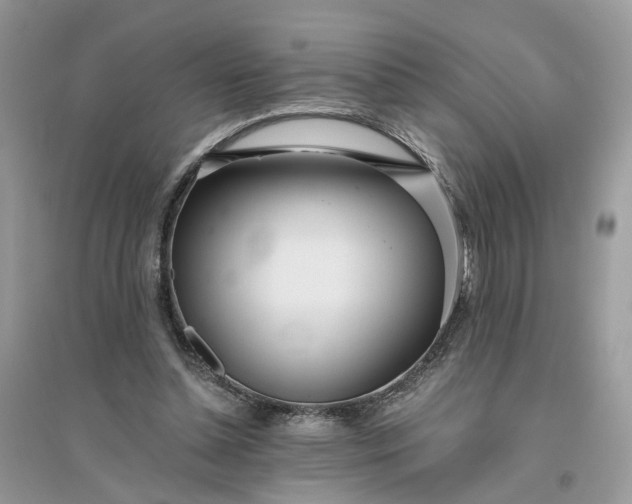 X0000096140348200802011215