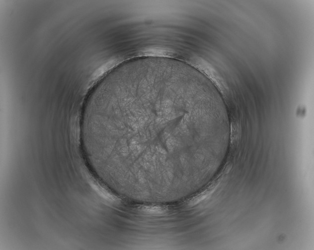X0000096140349200802011216