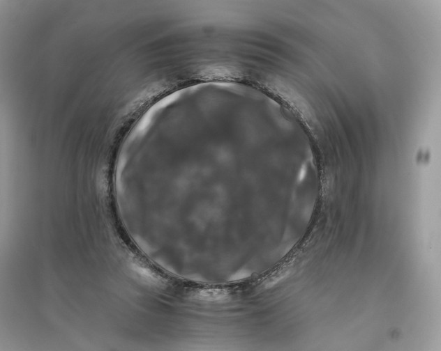 X0000096140353200802011216