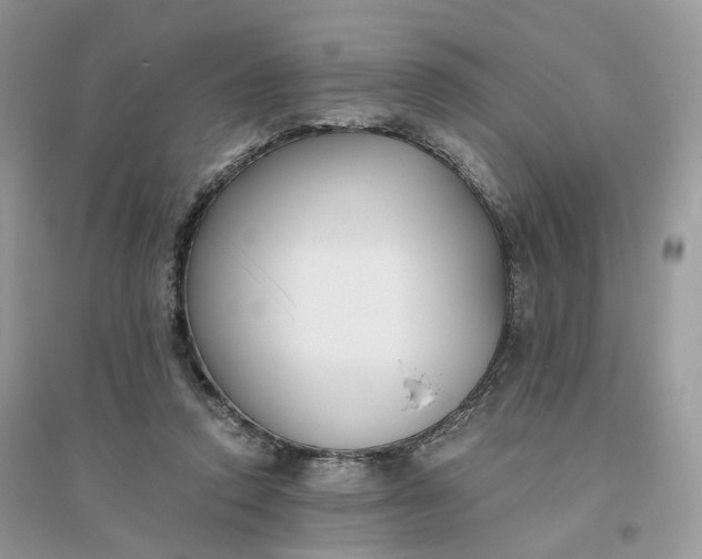 X0000096140354200802011216