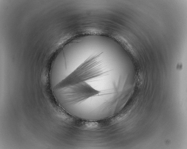 X0000096140355200802011216