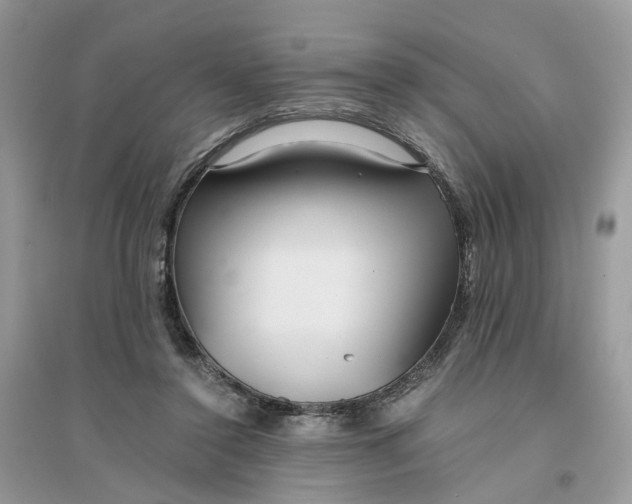 X0000096140356200802011216