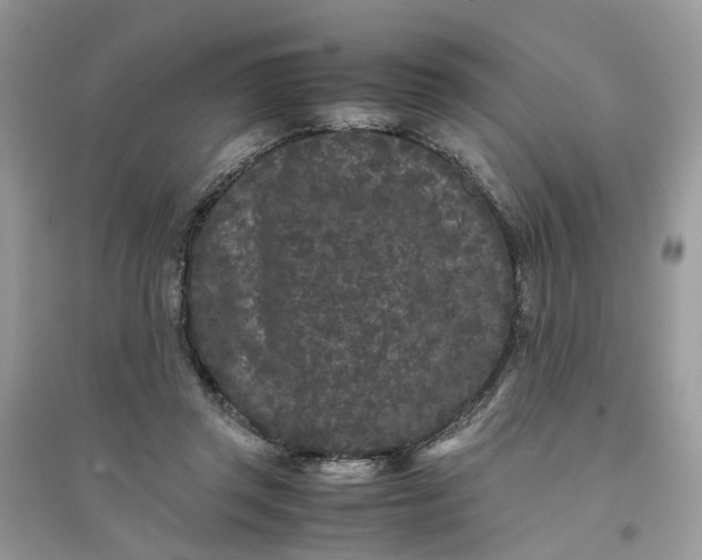 X0000096140357200802011216
