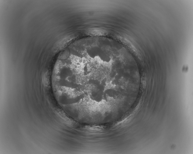 X0000096140359200802011216