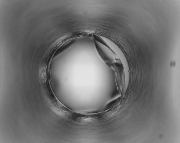 X0000096140360200802011216