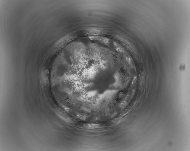X0000096140361200802011216
