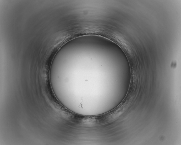 X0000096140362200802011216