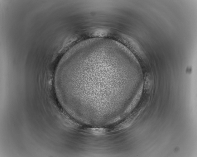 X0000096140363200802011216