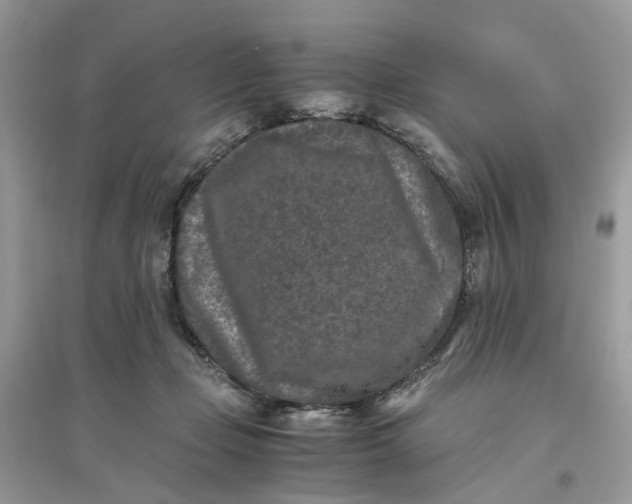 X0000096140365200802011216