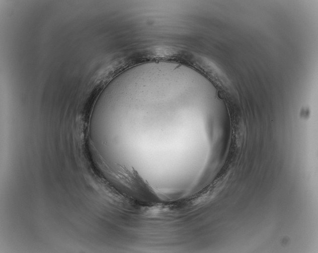 X0000096140366200802011216