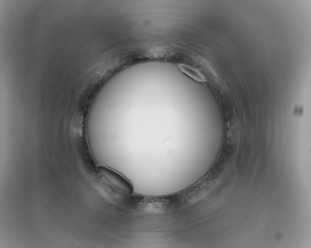 X0000096140368200802011216