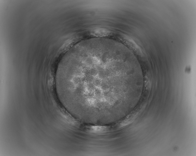 X0000096140371200802011216