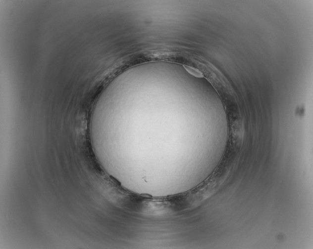 X0000096140372200802011216