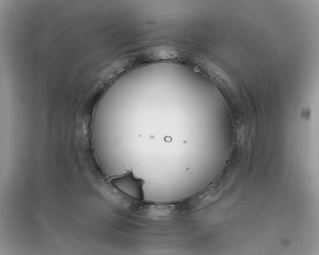 X0000096140373200802011216