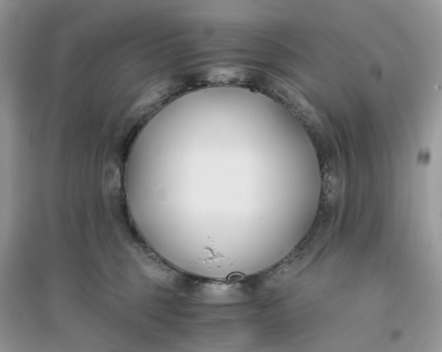X0000096140375200802011216