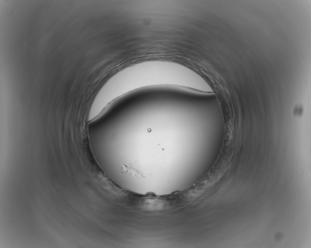 X0000096140376200802011216