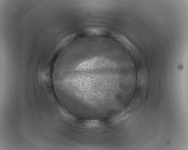 X0000096140377200802011216