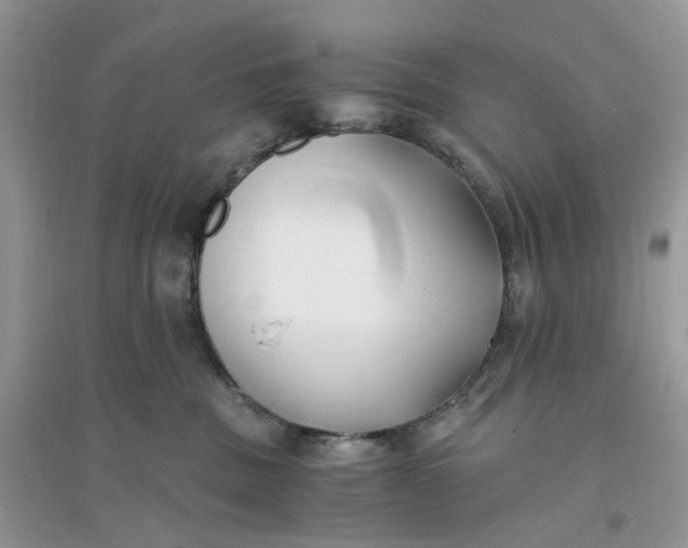 X0000096140379200802011216