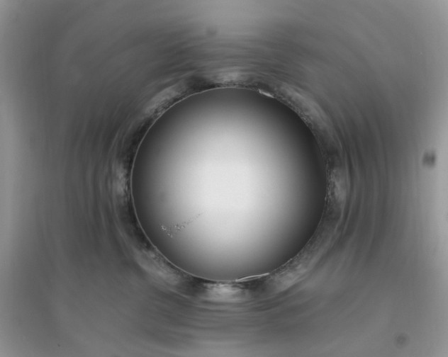 X0000096140380200802011216