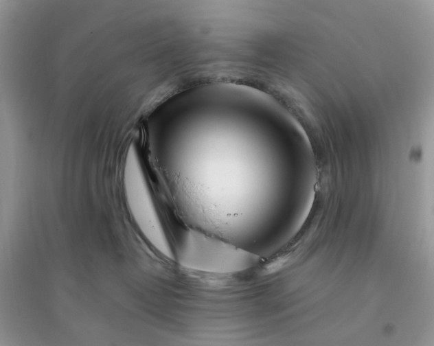 X0000096140382200802011216
