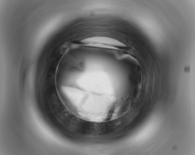X0000096140383200802011216