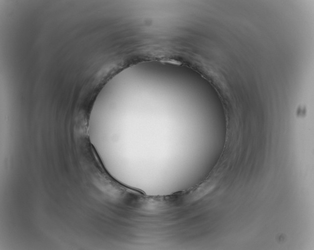 X0000096140384200802011216